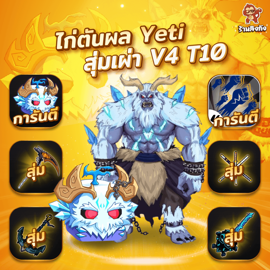ไก่ตัน V4 T10 การันตี Yeti
