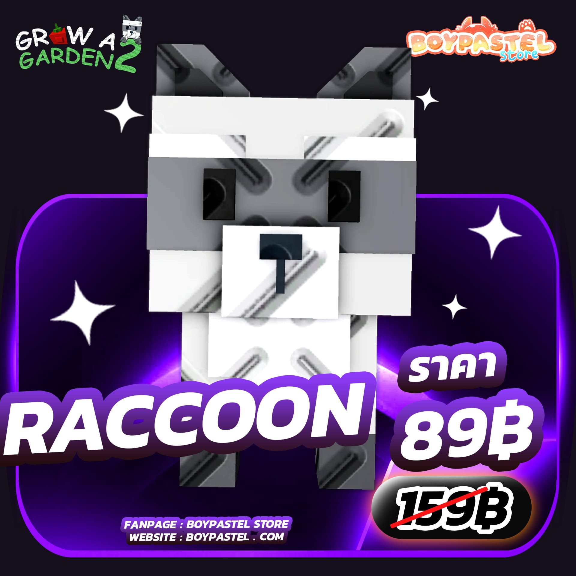 Raccoon