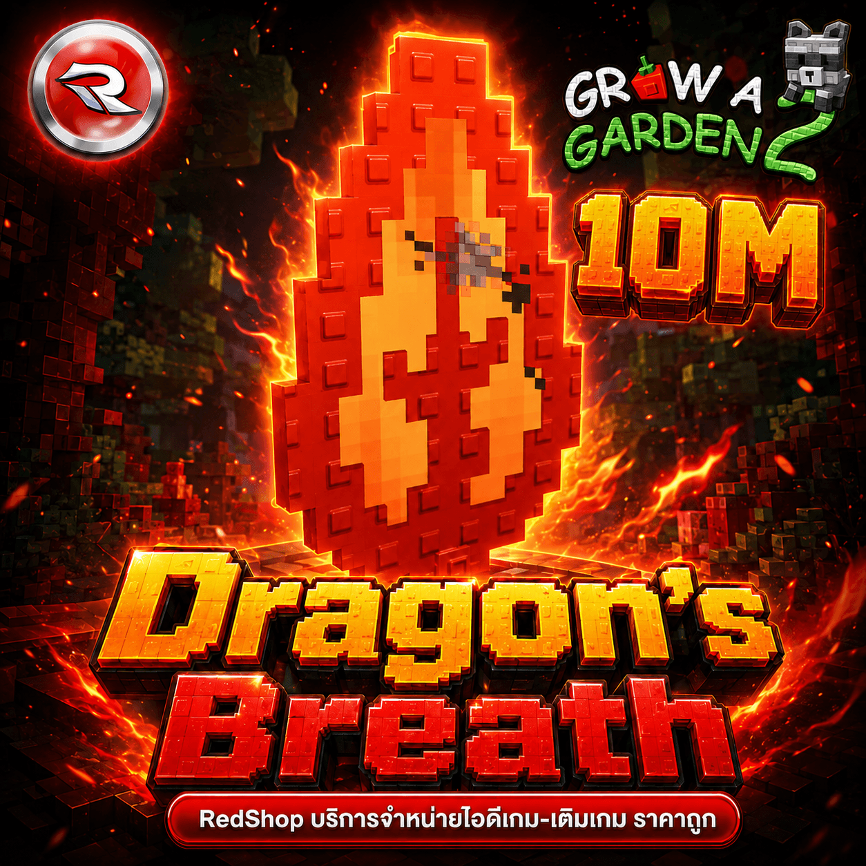 ไก่ผลมังกร🐲ขายได้ 10M (สุ่มบัพ)🐲⚡แมพ Grow a Garden 2⚡การันตีผลได้100%