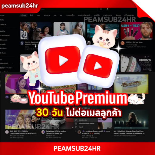 YouTube 30 DAYS  (ไม่ต่อ เมลลูกค้า)