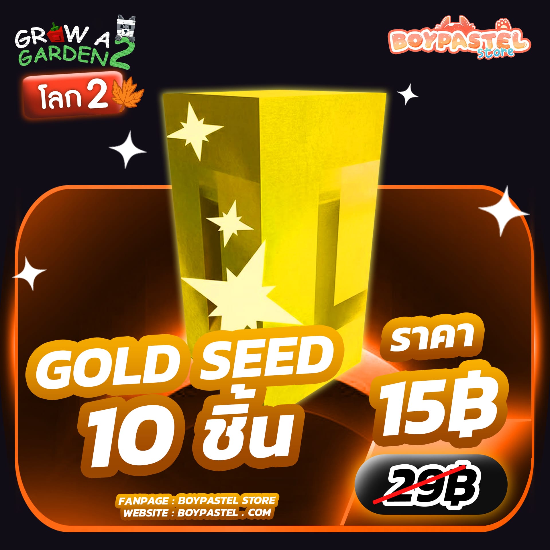 Gold Seed 10 ชิ้น