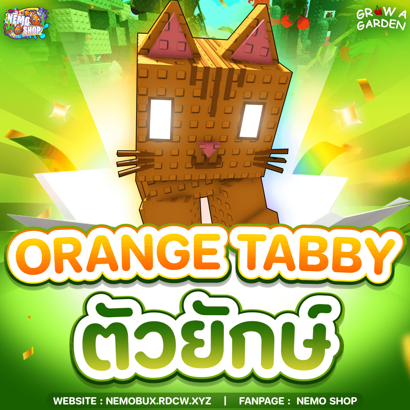 Orange Tabby ยักษ์