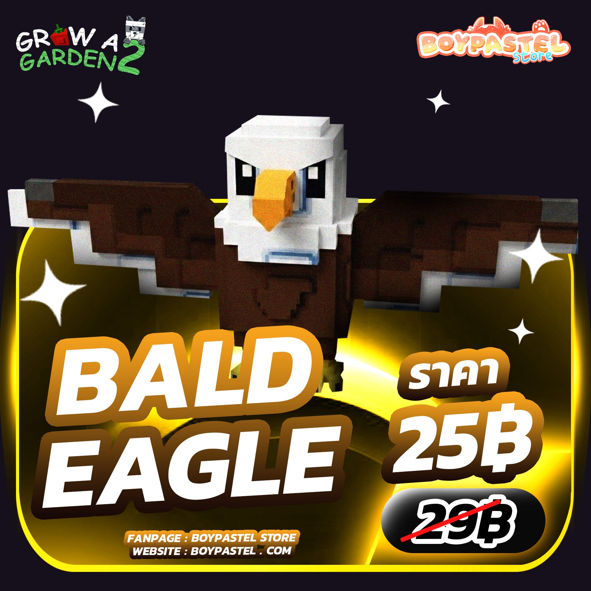 Bald Eagle