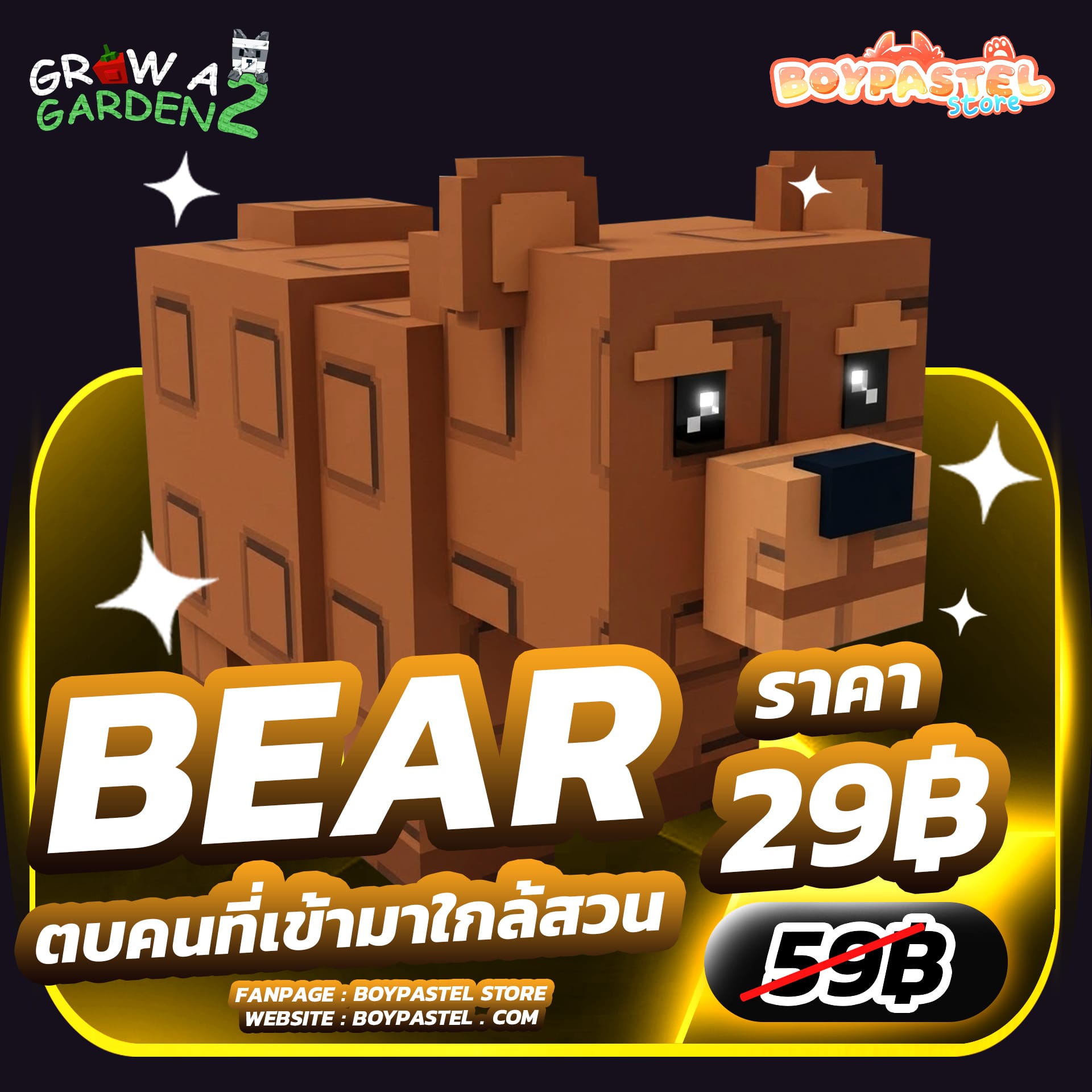 Bear