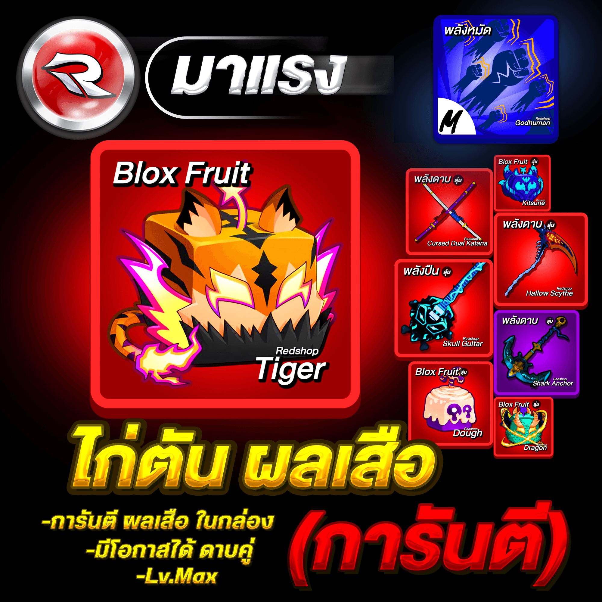 ไก่ตันผลเสือ🐯ในกล่อง🔥ลุ้นได้ดาบคู่โอเด้ง ได้รหัส100%✅ประกันกุญแจ 1 วัน.🔐 Lv.2800MAX