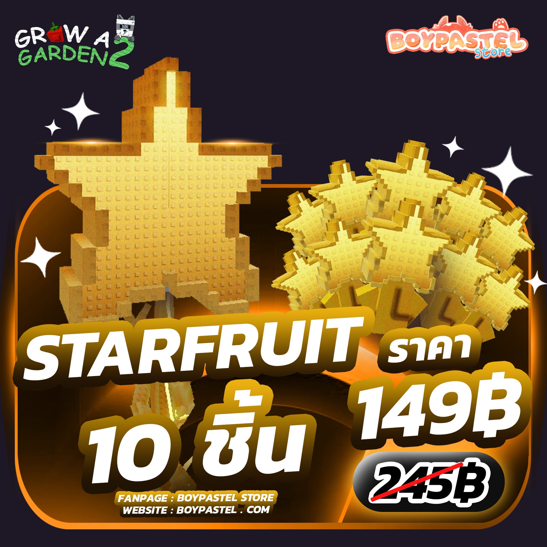 Star Fruit 10 ชิ้น