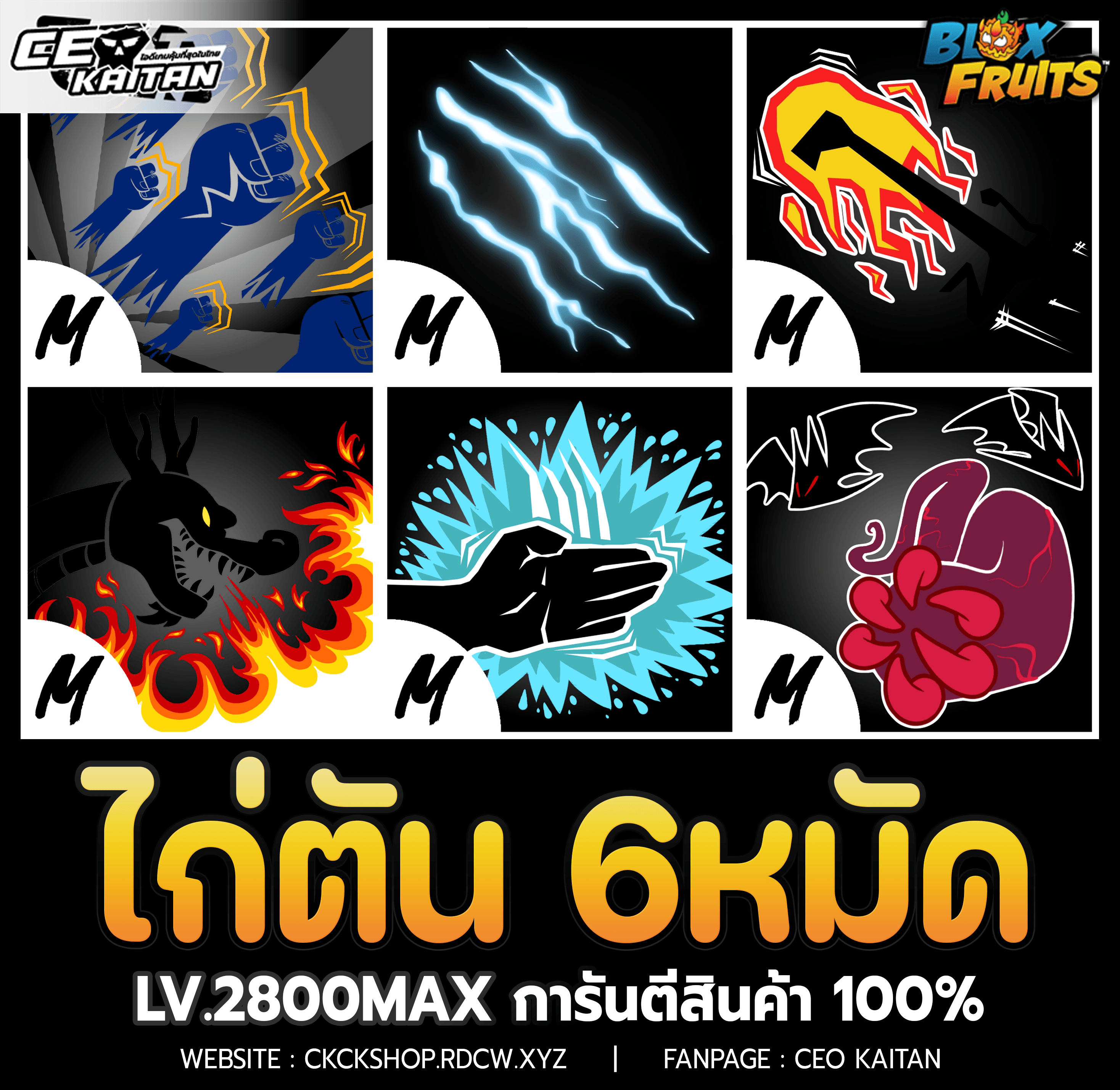  (ราคาถูก) ไก่ตัน 6หมัด การันตีสินค้า