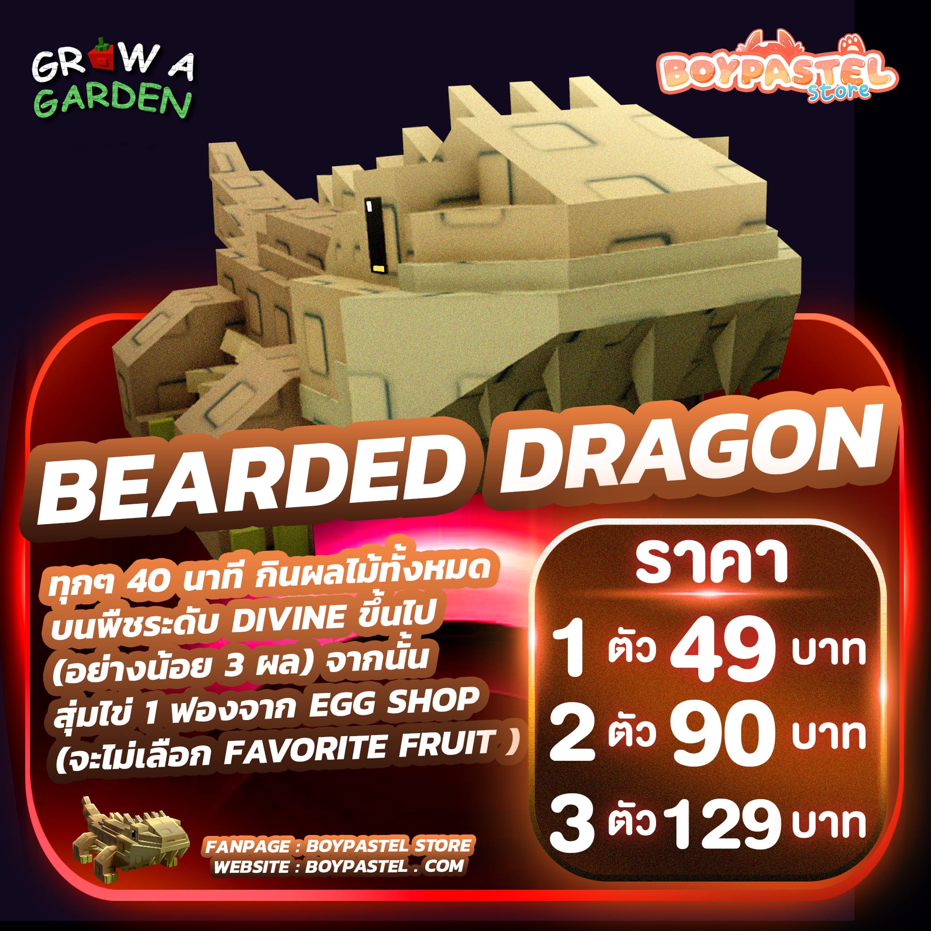  Bearded Dragon [Divine]
