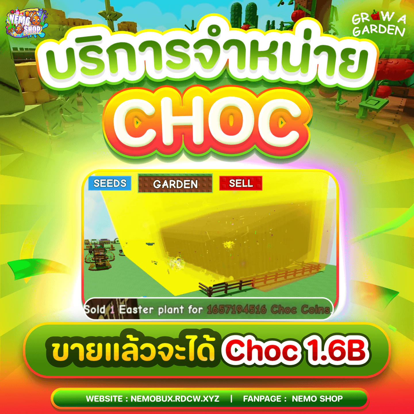 Choc 1.6B