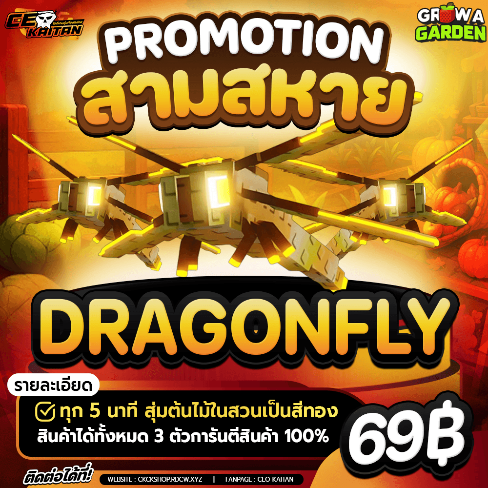 3ตัว 🔥DRAGONFLY แมลงปอ‼️(การันตีสินค้า)