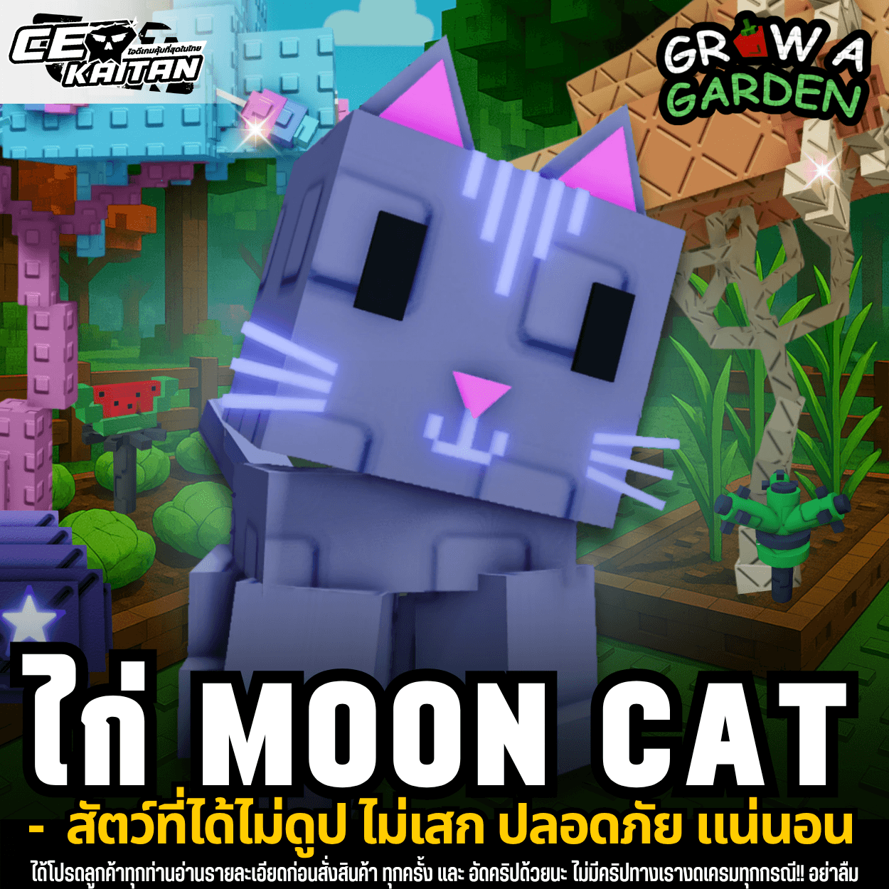 🔥Moon Cat แมวพระจันทร์‼️(การันตีสินค้า)