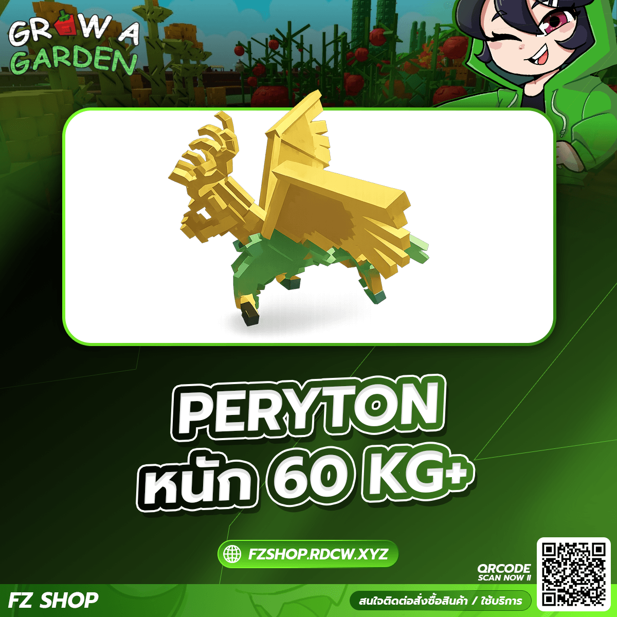 PERYTON หนัก 60KG+