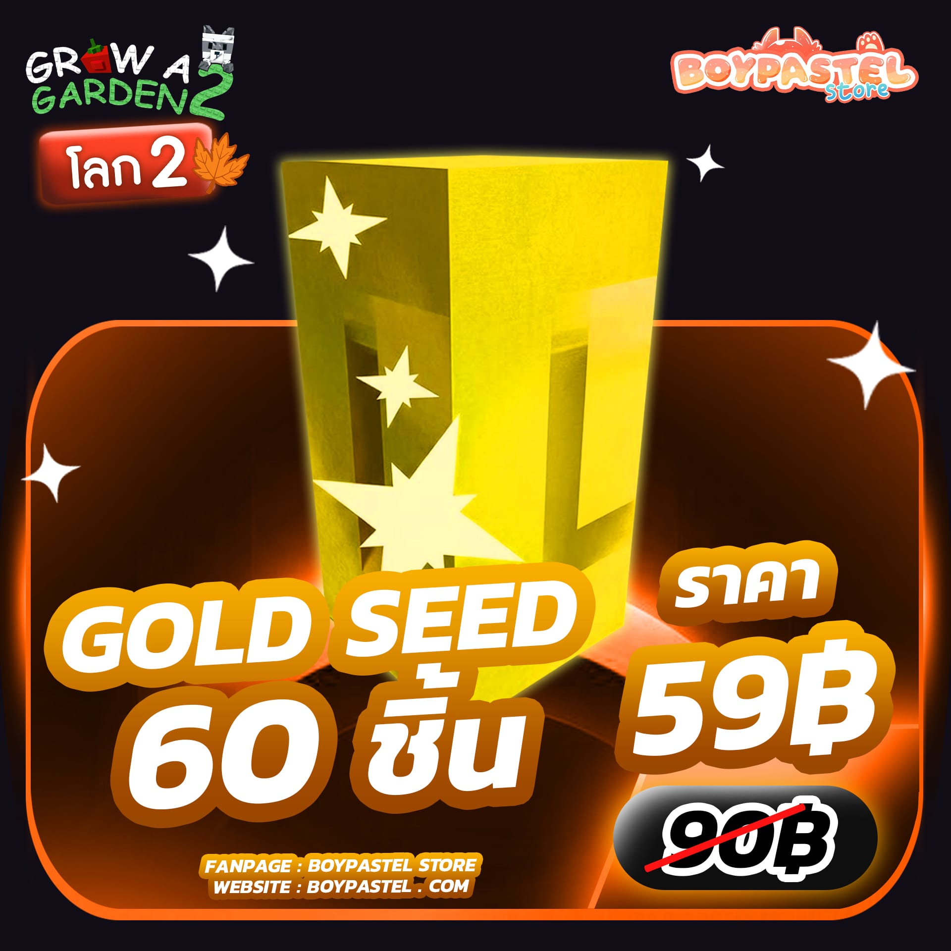 Gold Seed 60 ชิ้น
