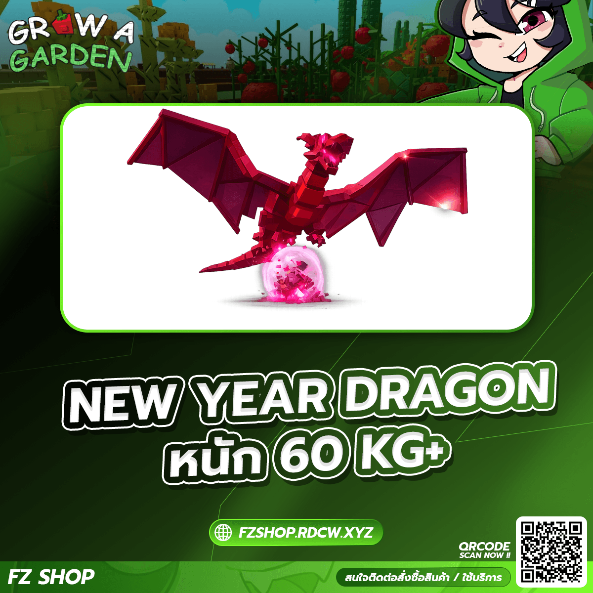 NEW YEAR DRAGON หนัก 60KG+