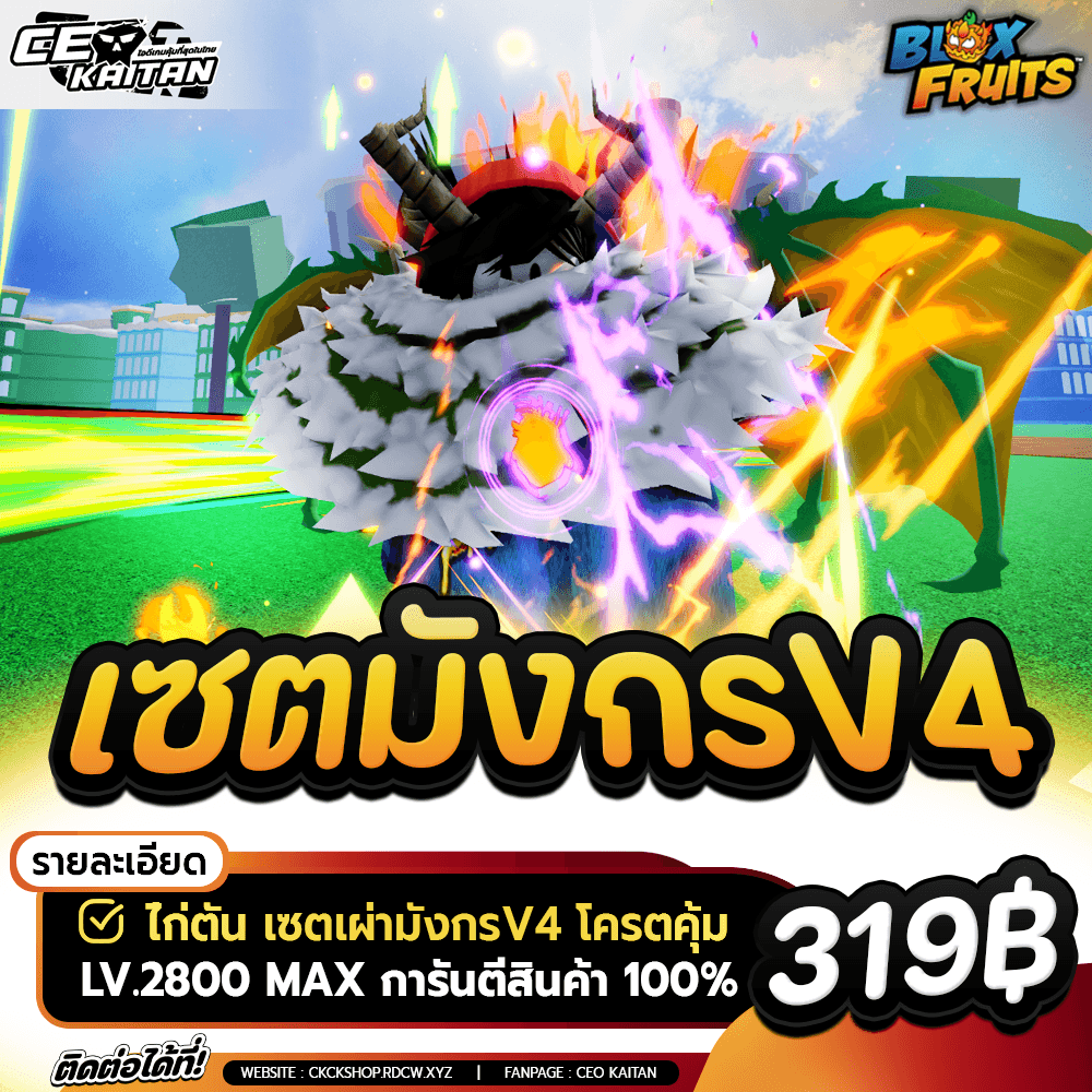 🐉 ไก่ตัน เผ่ามังกร V4T10 จำนวนจำกัด [ไม่มีเกลือ]