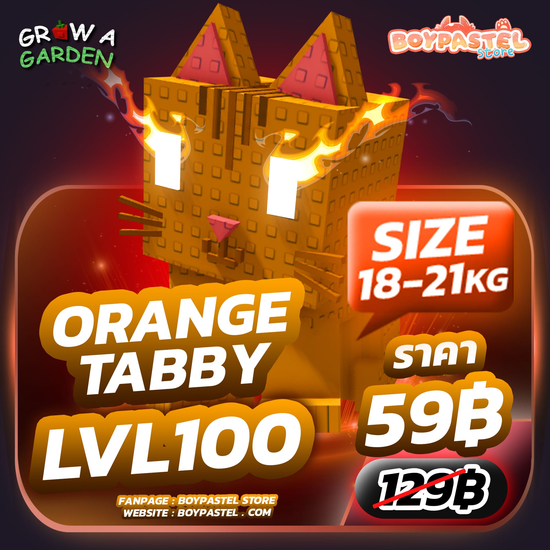 Orange Tabby LVL 100 [Rare]