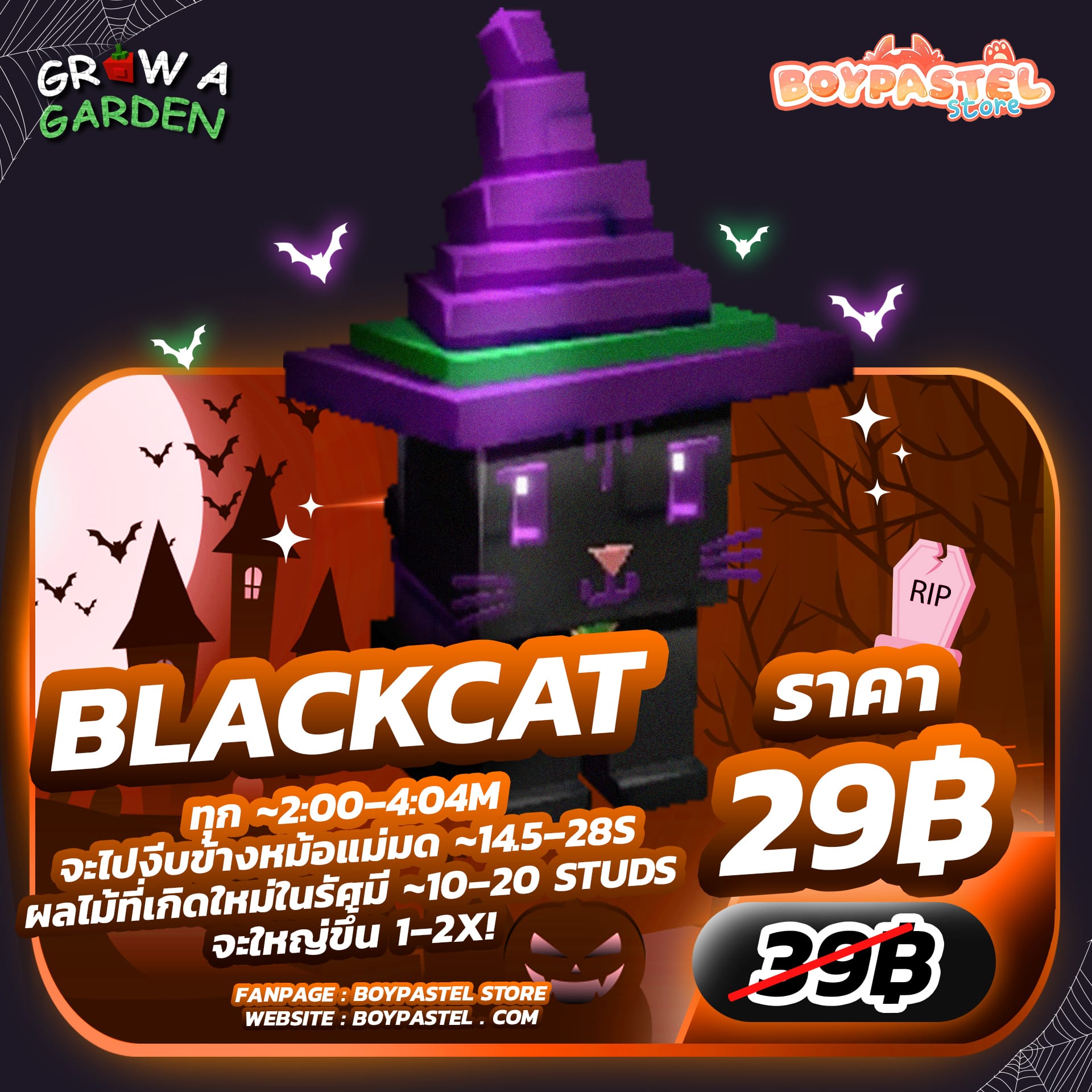 Black Cat [Mythical]