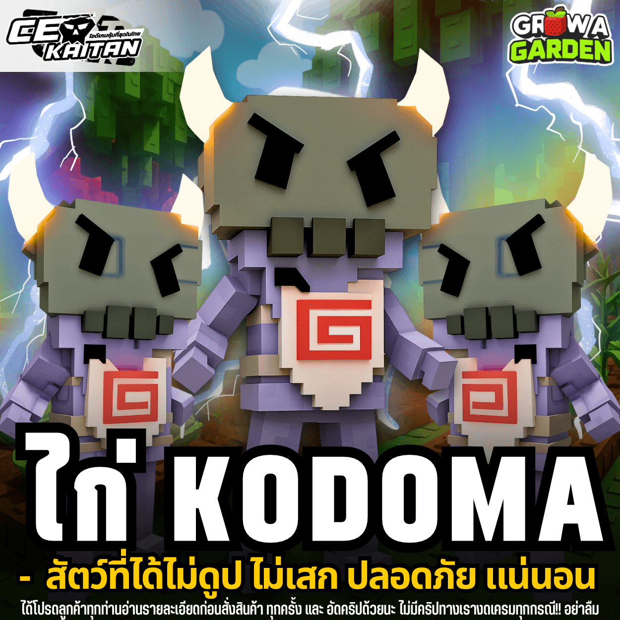 🧸 ไก่ โคดามะ ตัวแรร์ (การันตีสินค้า)