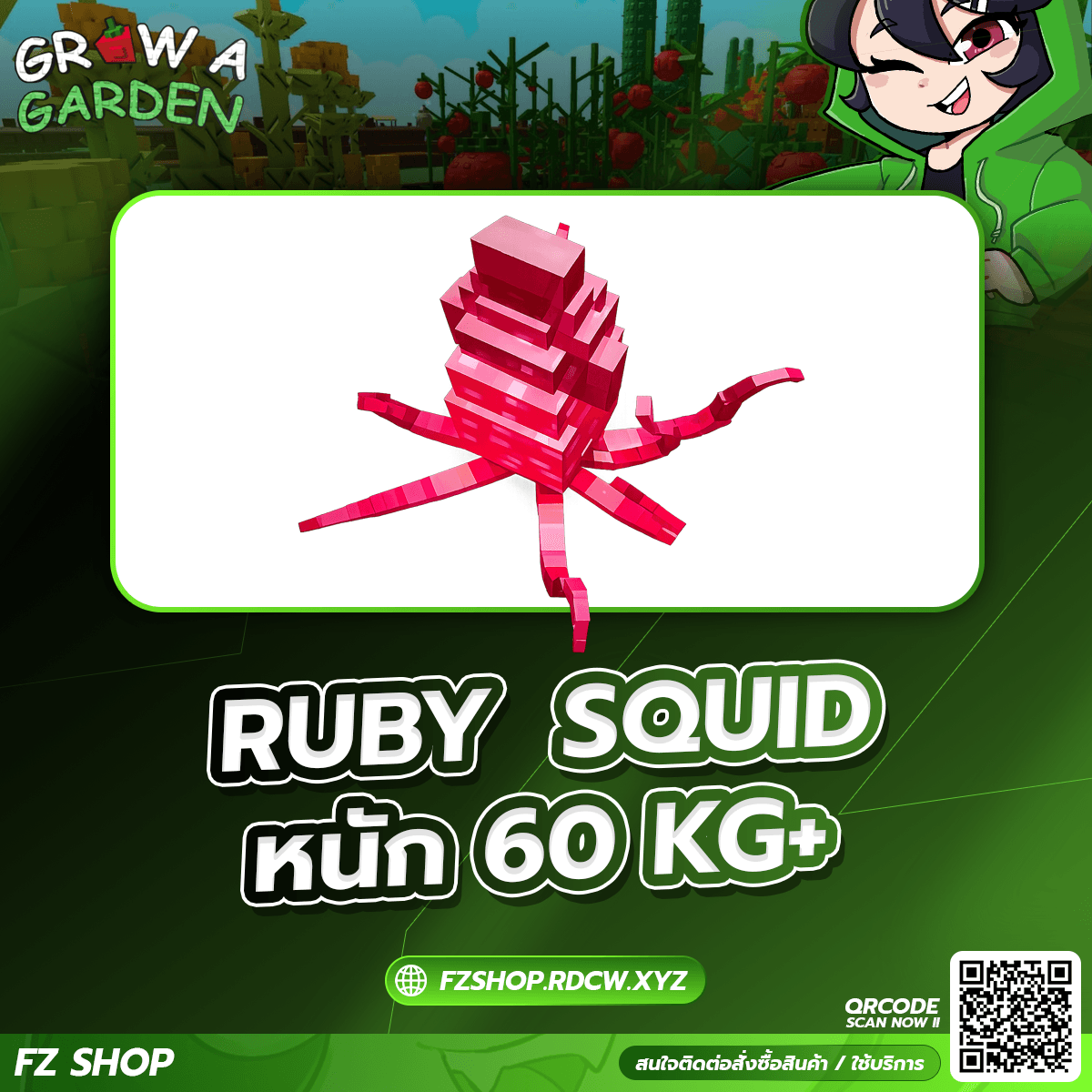 RUBY SQUID หนัก 60KG+
