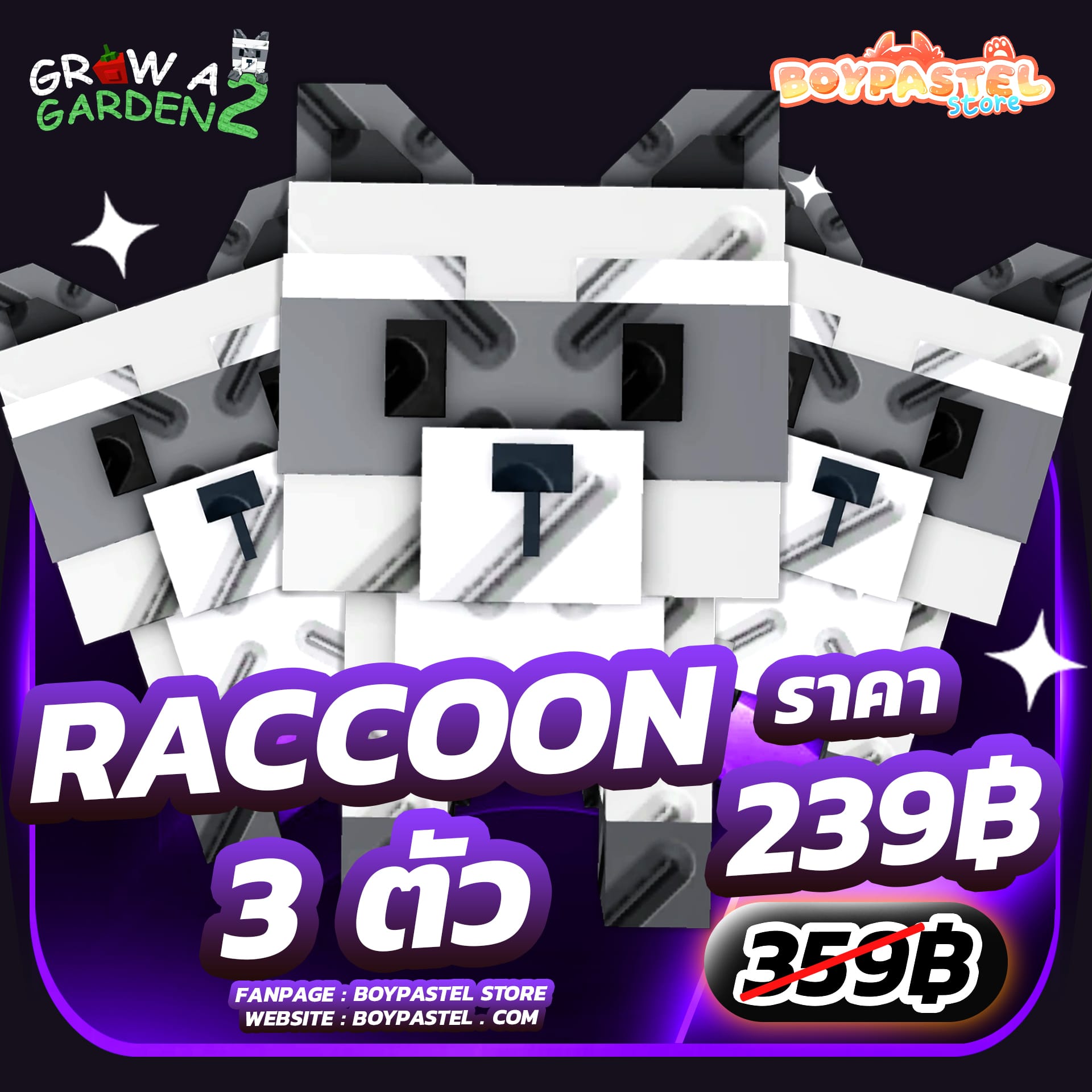 Raccoon 3 ตัว