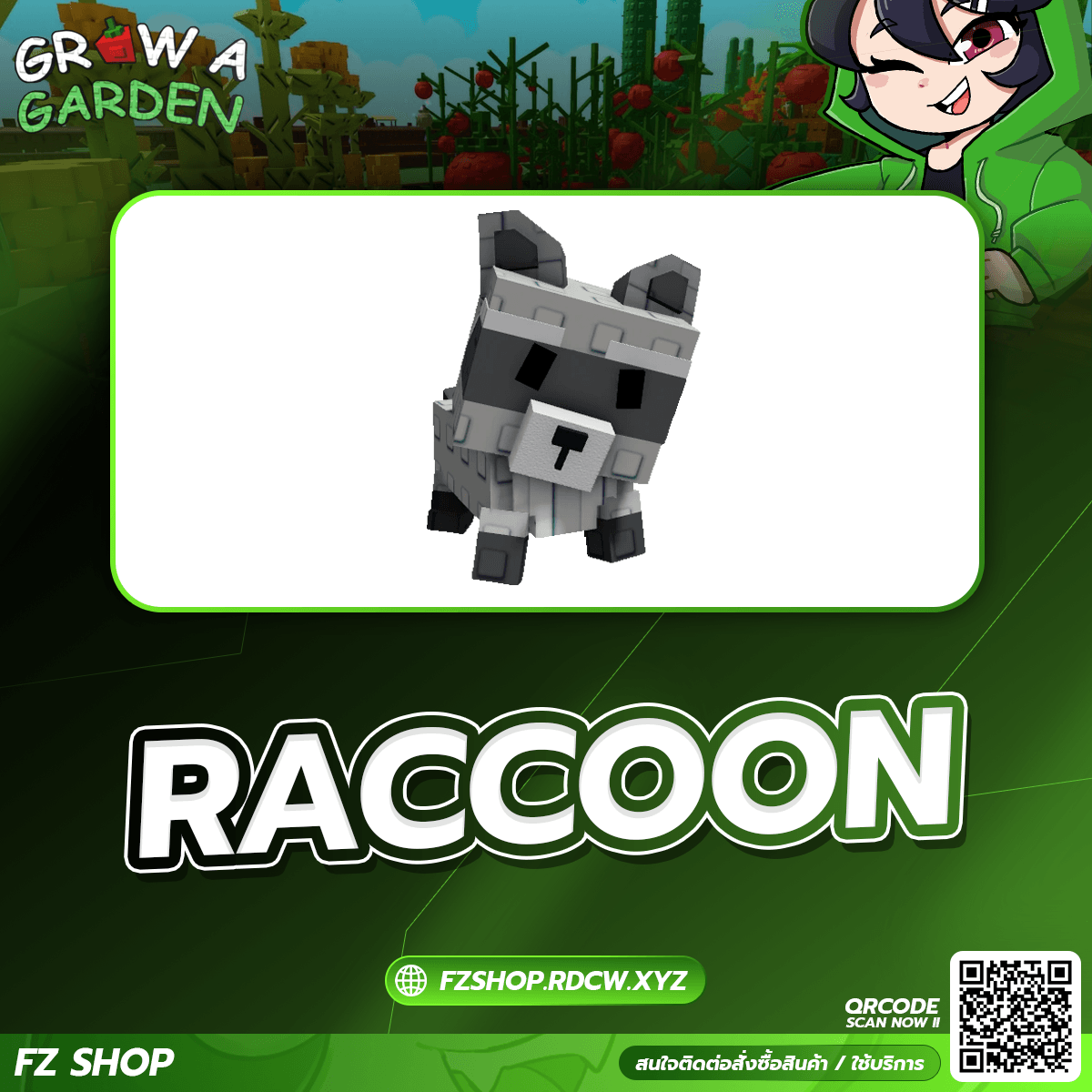 Raccoon [Divine]