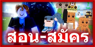 WDWD SHOP แบนเนอร์ 3