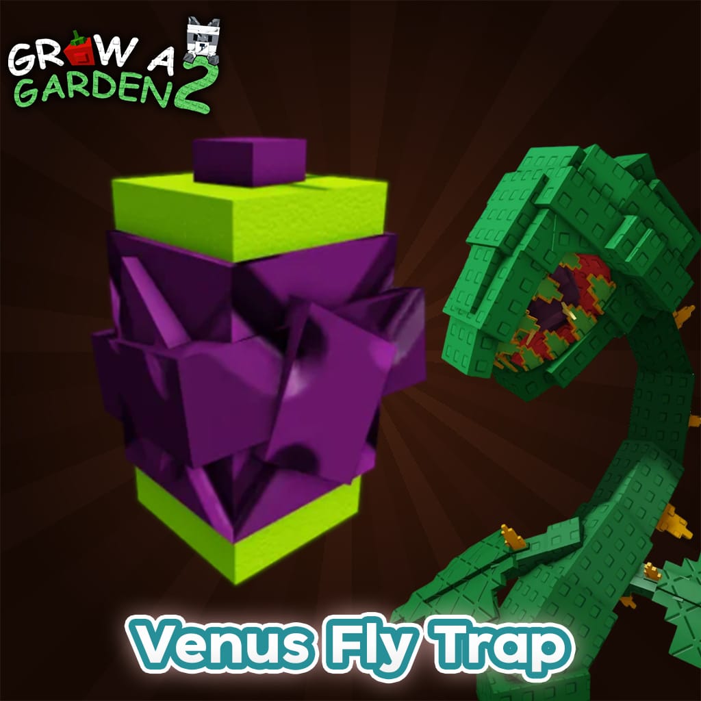 Venus Fly Trap 10 เมล็ค🧑‍🌾