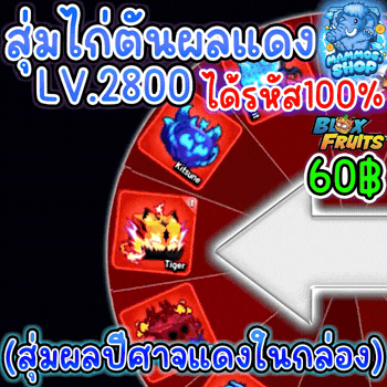 สุ่มไก่ตันผลแดง Blox Fruits