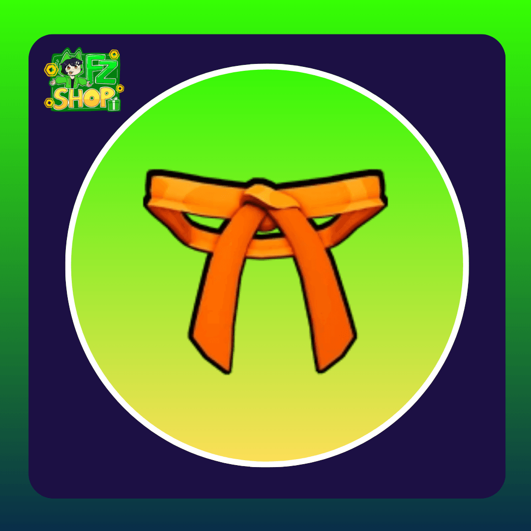 Dojo Belt (Orange)