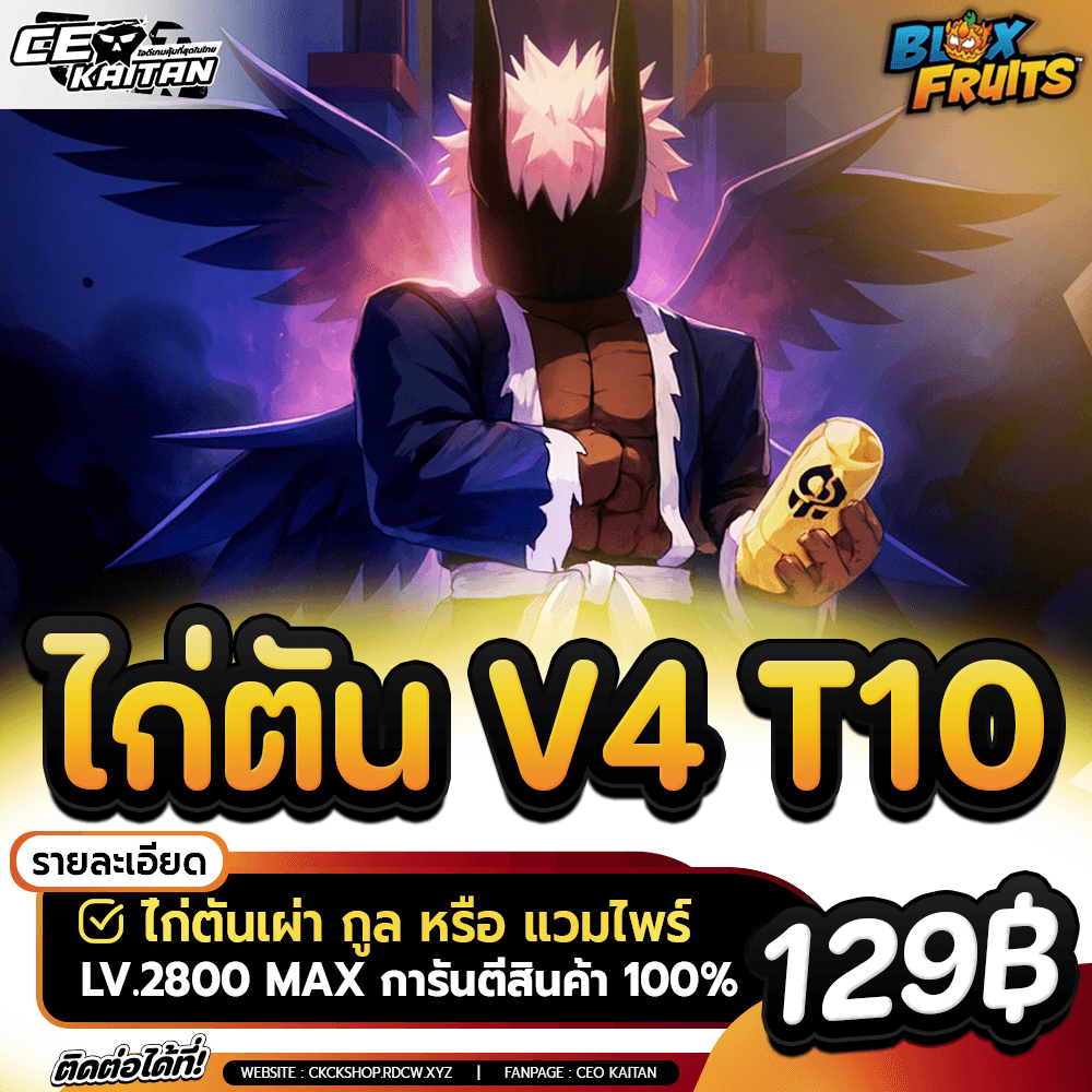 🥵 ไก่ตัน เผ่ากูล V4 ขั้น10 จำนวนจำกัด [ไม่มีเกลือ]