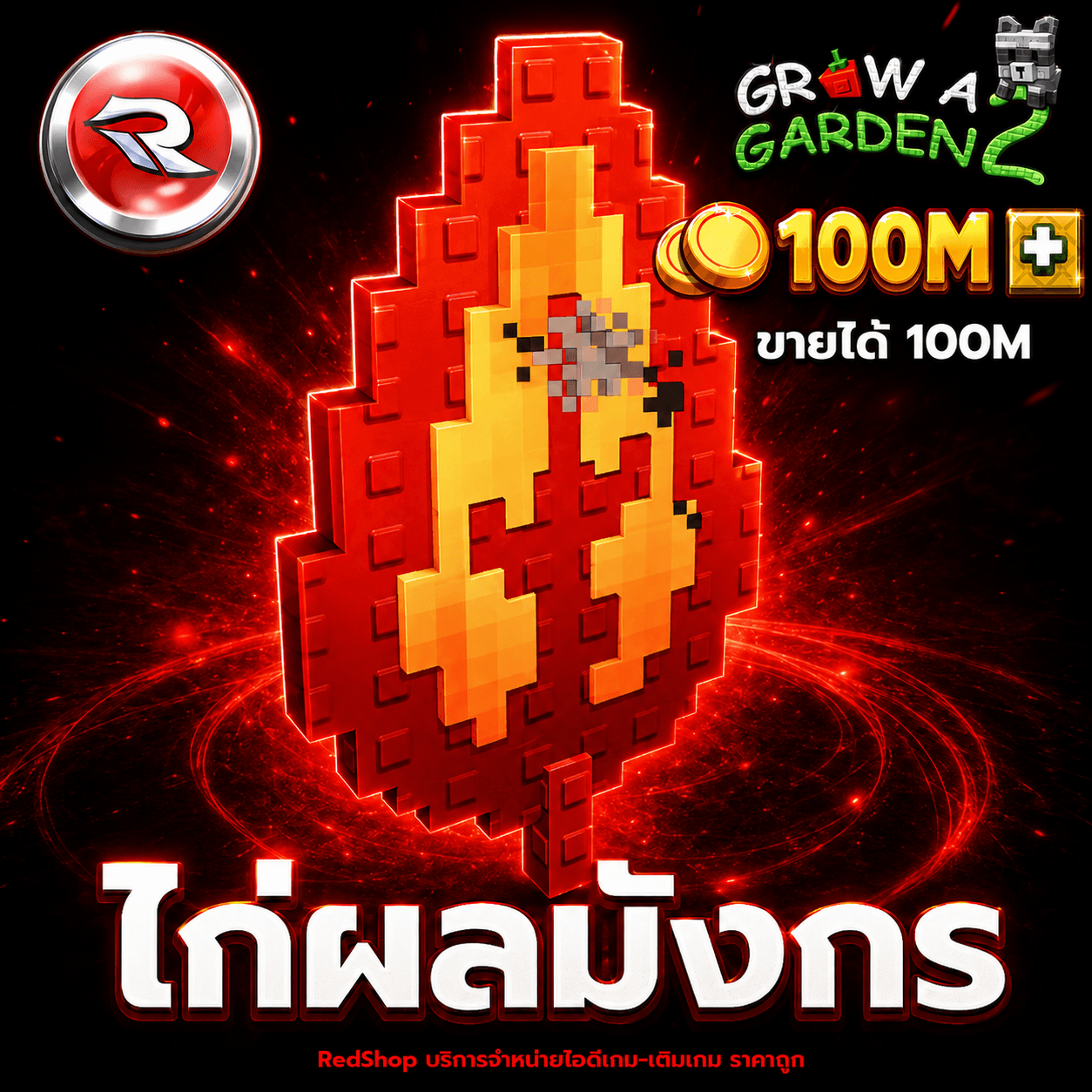 ไก่ผลมังกร🐲ขายได้ 100M (สุ่มบัพ)🐲⚡แมพ Grow a Garden 2⚡การันตีผลได้100%
