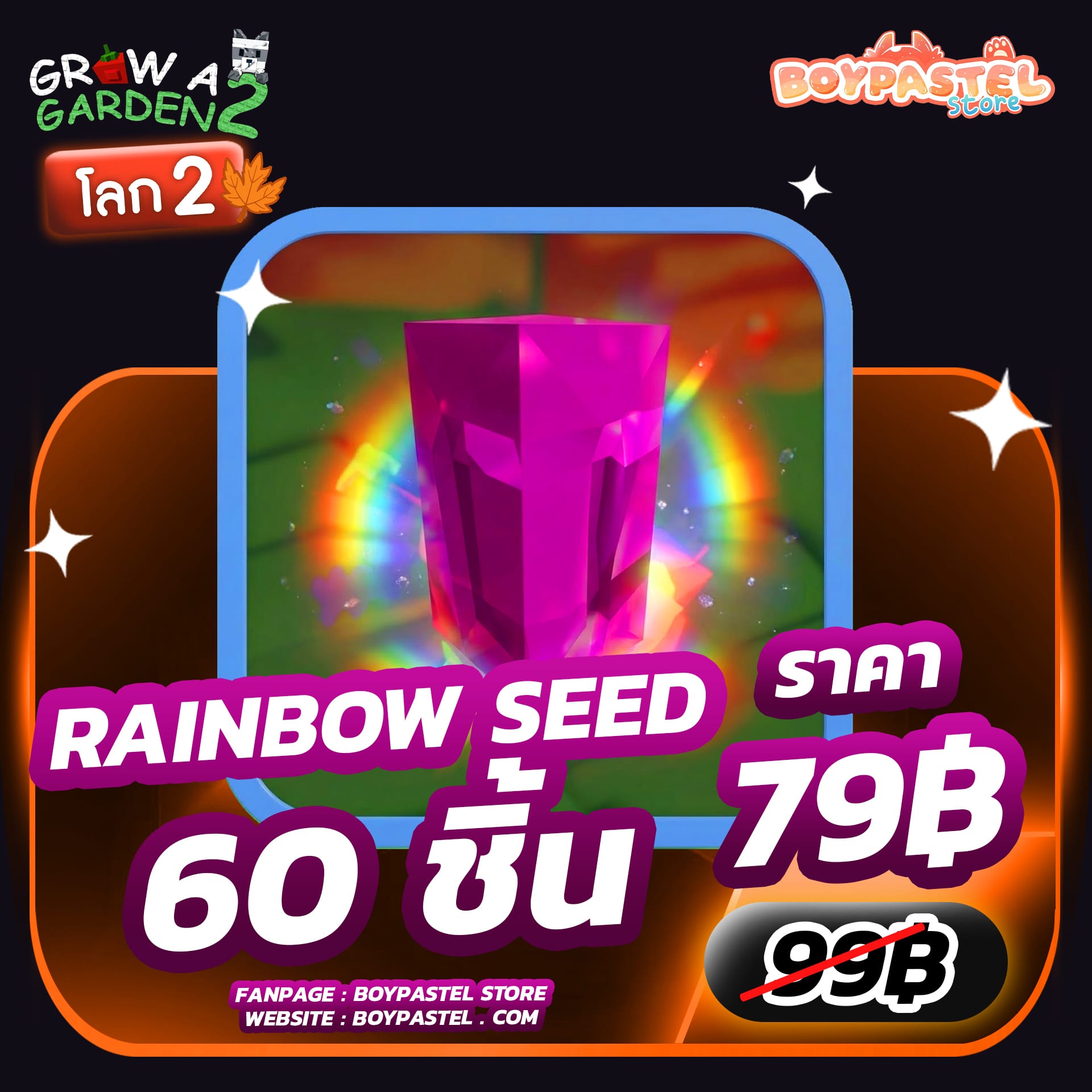 Rainbow Seed 60 ชิ้น