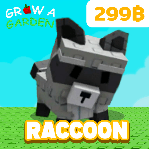 Raccoon (แรคคูน)
