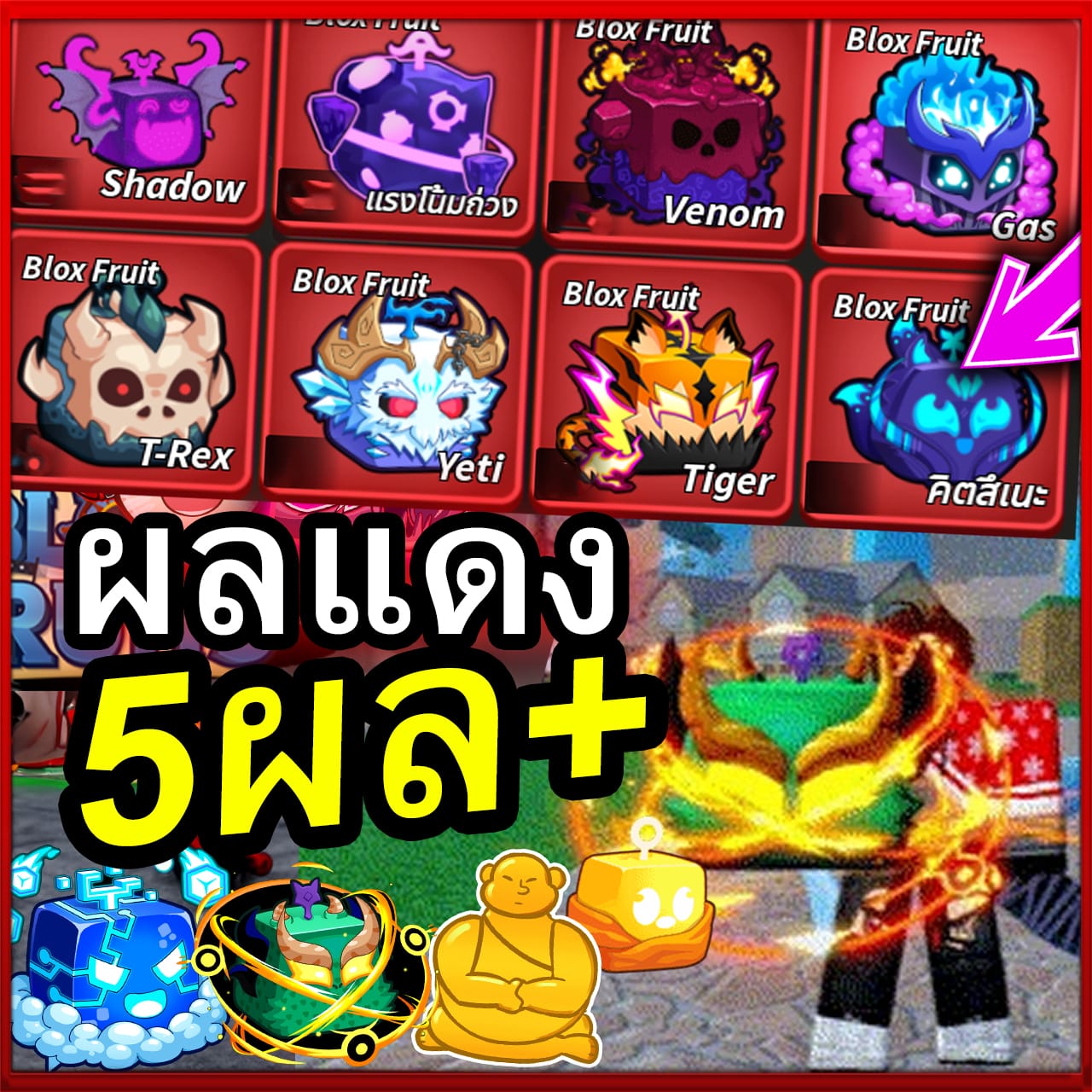 ไก่ตัน 5 ผลแดง