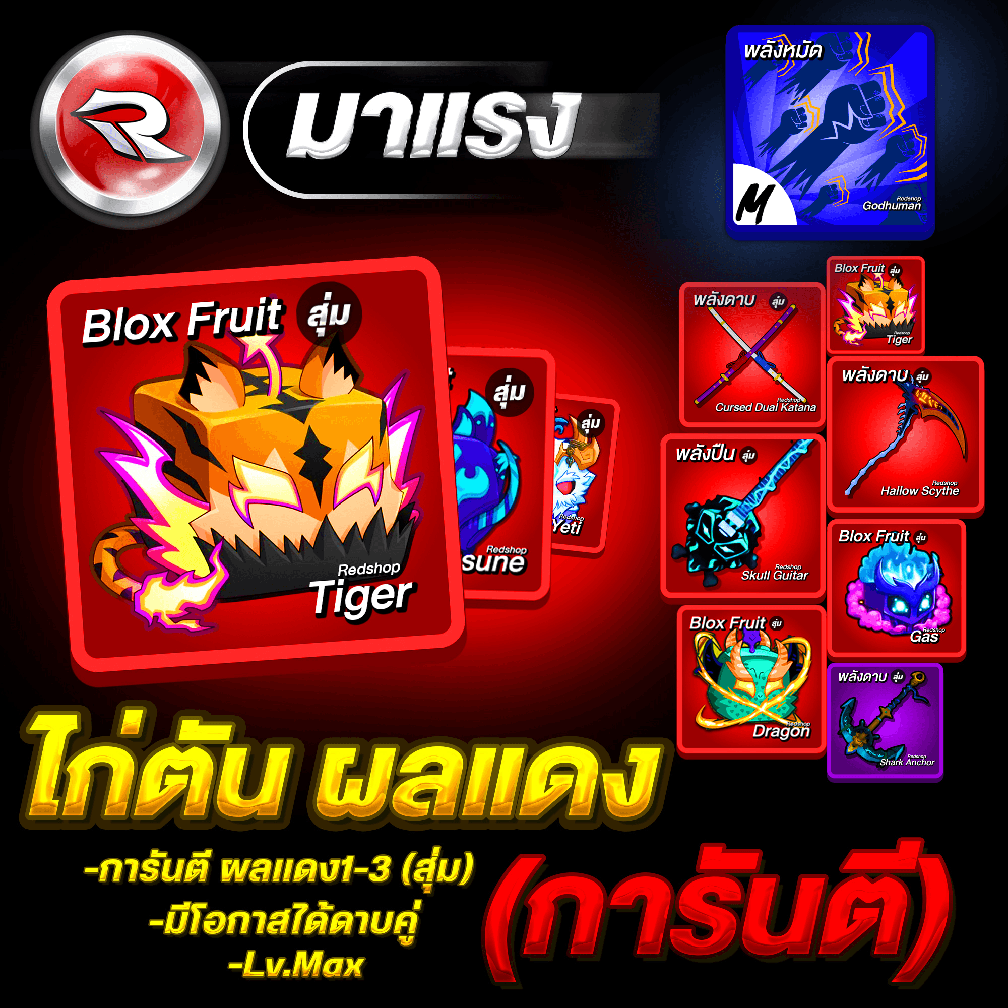 ไก่ตันผลแดง🔴ในกล่อง🔥การันตี 1-6ผล🔥ลุ้นได้ดาบคู่โอเด้ง ได้รหัส100%✅ประกันกุญแจ 7 วัน.🔐 Lv.2800MAX