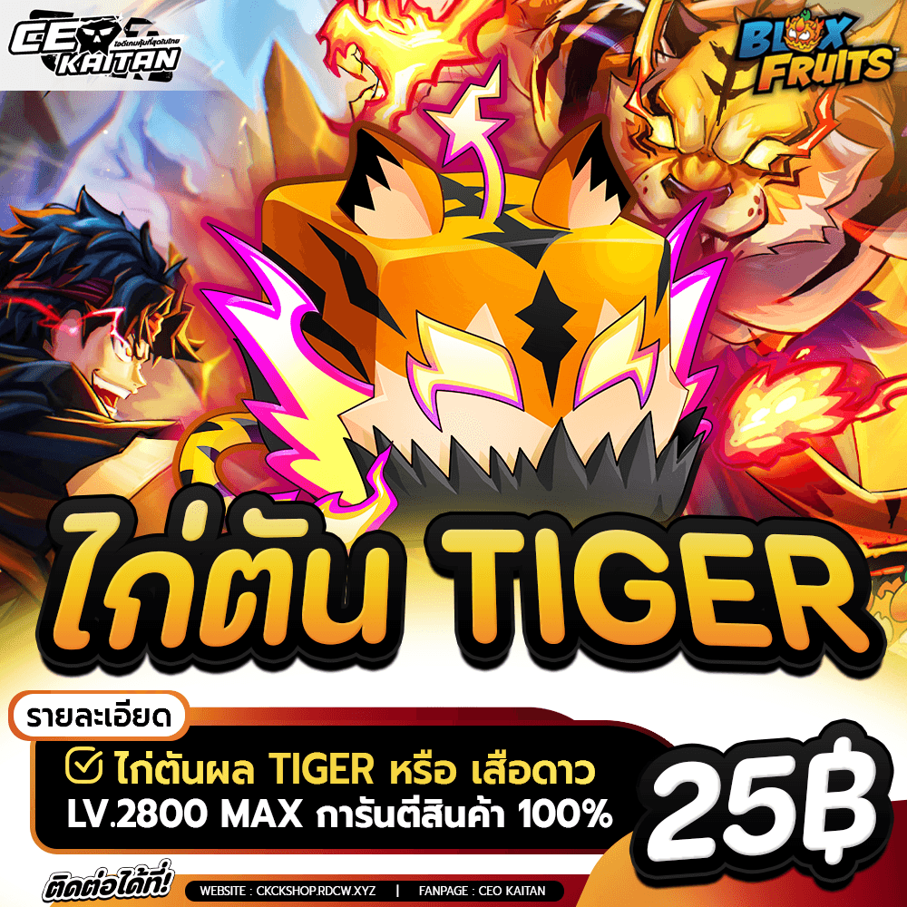 🐯 ไก่ตัน TIGER สุ่มมาสพร้อมเล่น หรือ ผลในกล่อง[การันตีรหัส100%]