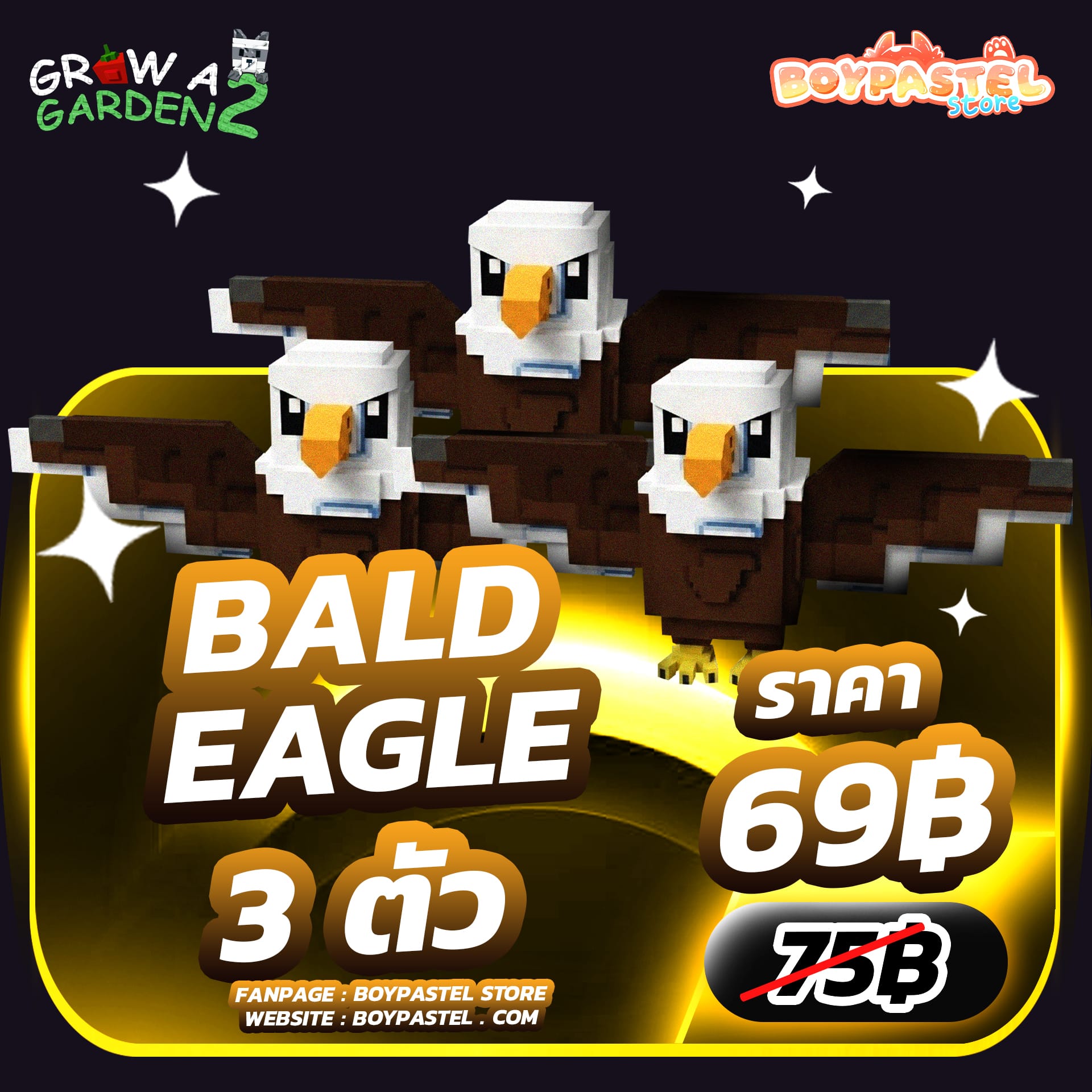 Bald Eagle 3 ตัว