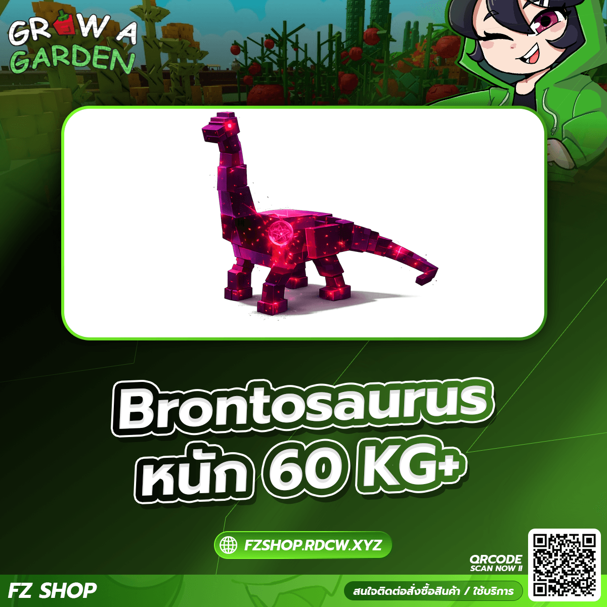 Brontosaurus หนัก 60KG+