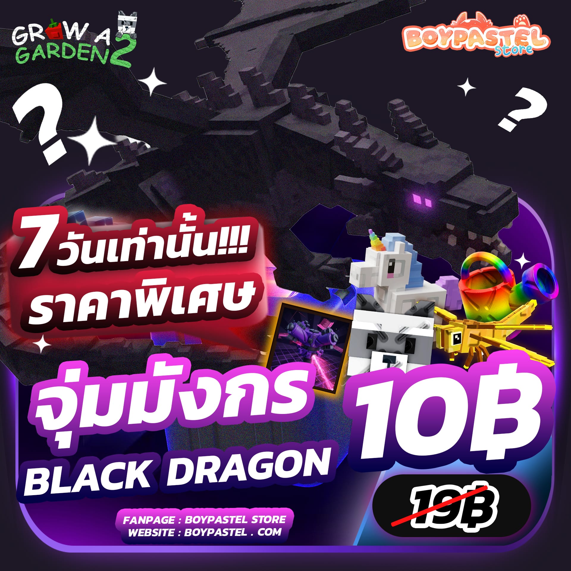 กล่องจุ่มมังกร Black Dragon [Limited]