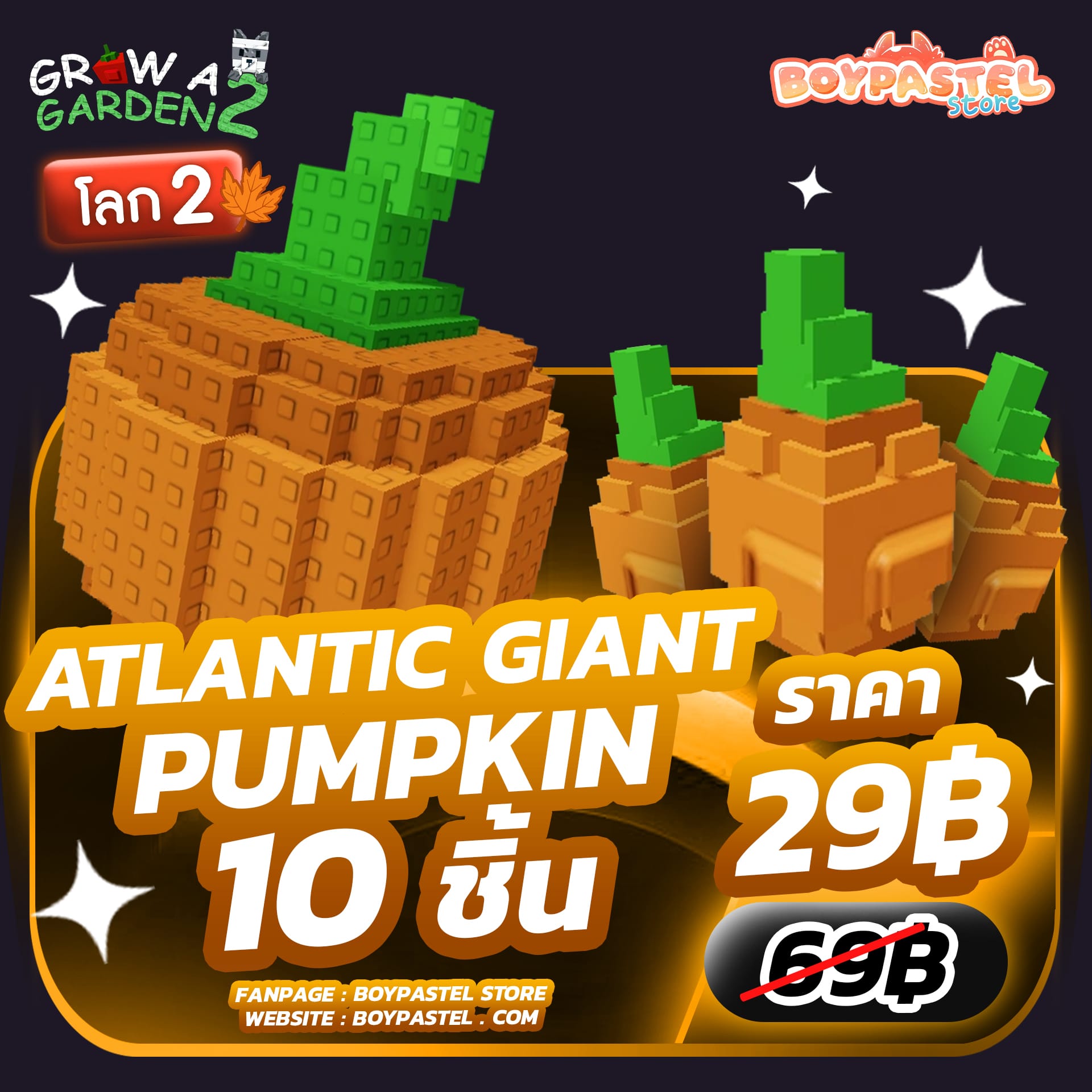 Atlantic Giant Pumpkin 10 ชิ้น